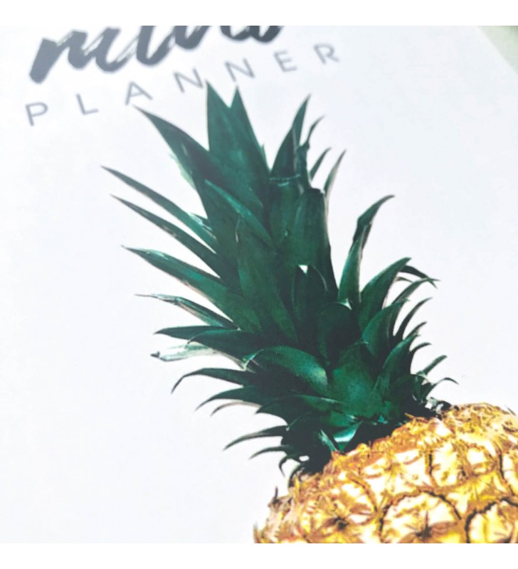 Недельный планер "Pineapple" mini