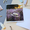 Тетрадь #48 "Summer story" lavender - Фото 2